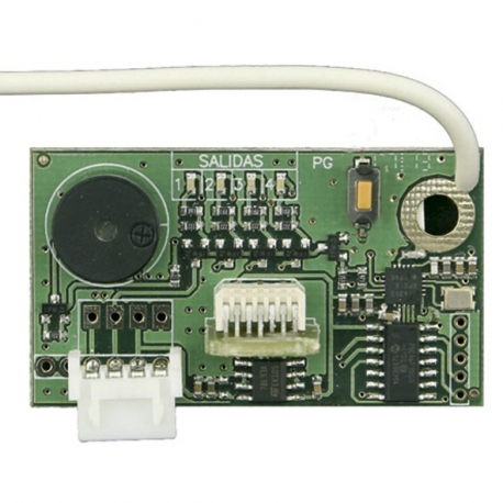 RECEPTOR CLEMSA MUTANCODE RNE248LR