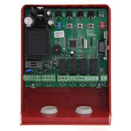 RECEPTOR ERREKA IRIN 4B-250